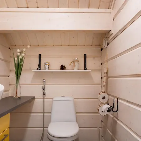 Alpine Sving By Aavalevi