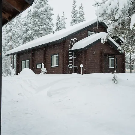 Alpine Sving By Aavalevi *