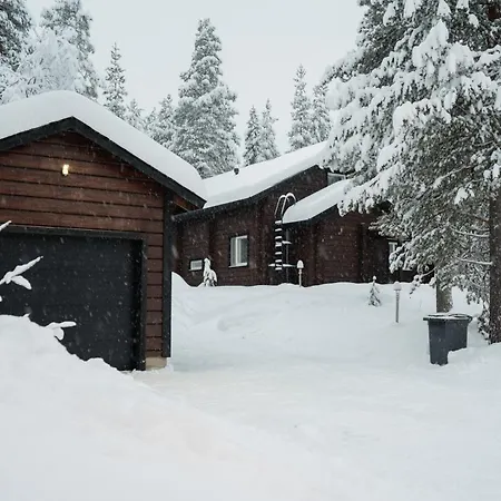 Alpine Sving By Aavalevi * Levi