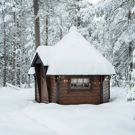 Apartamento Alpine Sving By Aavalevi Levi