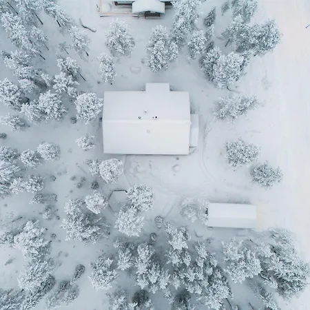 Alpine Sving By Aavalevi *