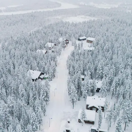 Alpine Sving By Aavalevi