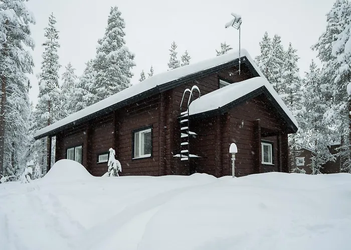 Alpine Sving By Aavalevi