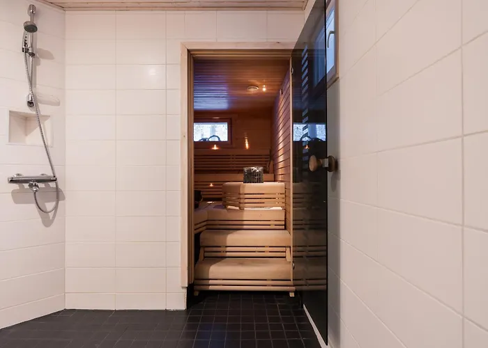 Alpine Sving By Aavalevi * Levi