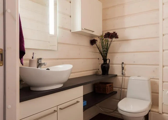 Appartement Alpine Sving By Aavalevi Levi