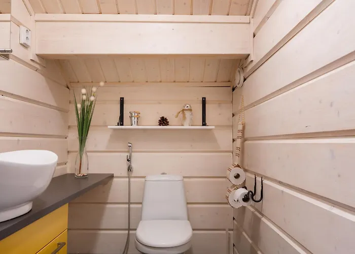 Alpine Sving By Aavalevi