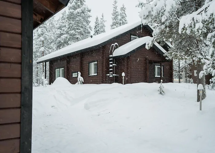 Alpine Sving By Aavalevi *