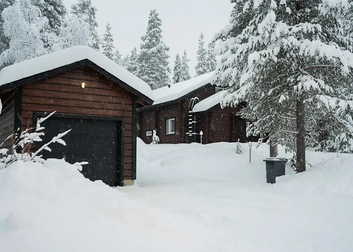 Alpine Sving By Aavalevi * Levi