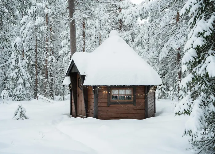 Appartement Alpine Sving By Aavalevi Levi