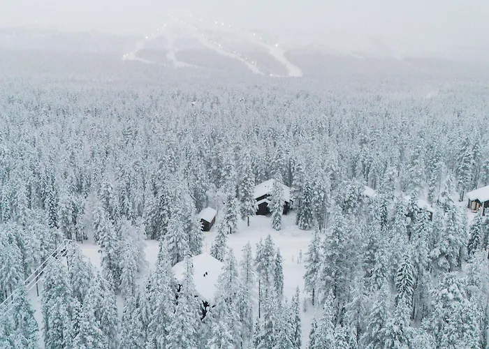 Appartement Alpine Sving By Aavalevi *