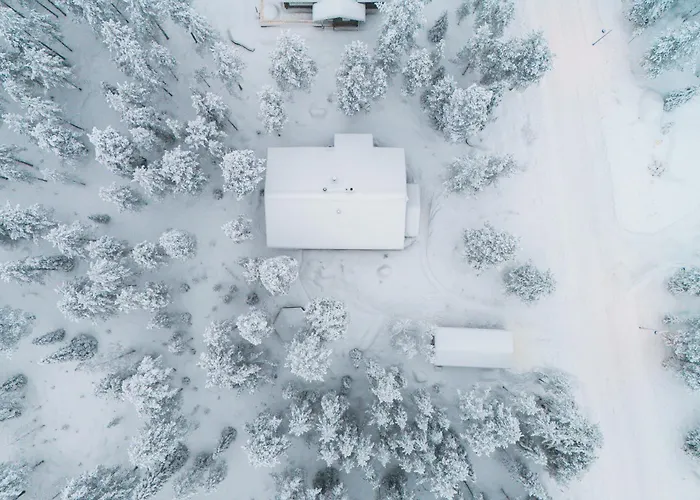 Alpine Sving By Aavalevi *